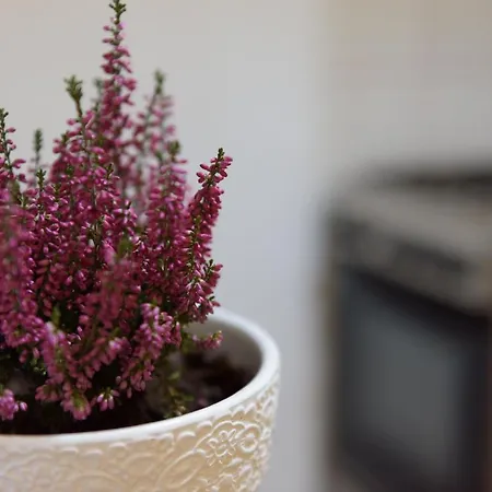 Апартаменты Ultracentral - 