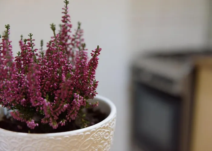 Apartmán Ultracentral - 